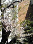 080404_1051~01.JPG