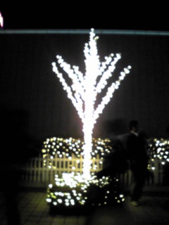20071123 005.jpg