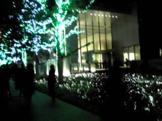 20071123 013.jpg