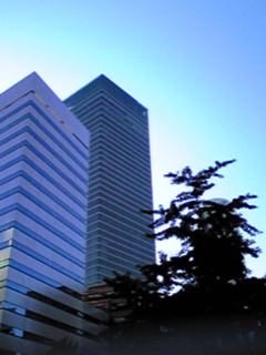 20071123 020.jpg