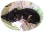 20071126 005maru.jpg