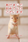 2008年賀状ねずみ