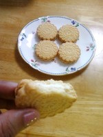 画像 -0433.jpg
