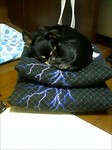 研修会 079.jpg