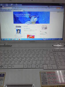 SBSH0289.JPG