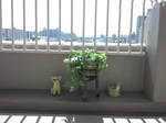 111002_120652.jpg