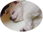 milkup5.jpg