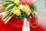 osn0030-049_m.jpg