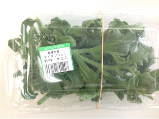 image-20130517133244.png